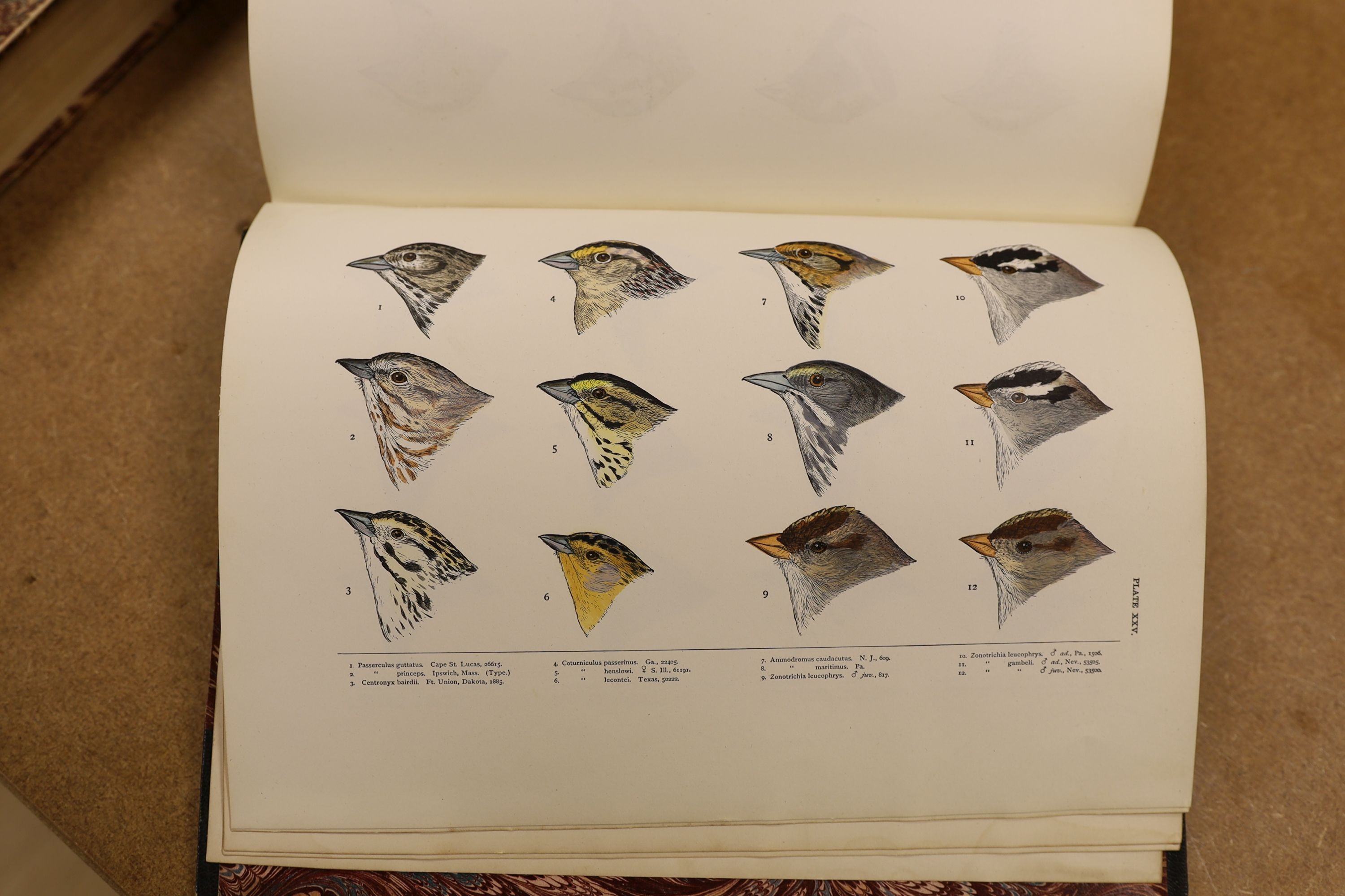 Baird, S.F. & Others - A History of North America Birds: Land Birds, 3 vols., coloured plates and other illus.; old half leather and marbled boards, gilt tops and marbled e/ps., 4to.